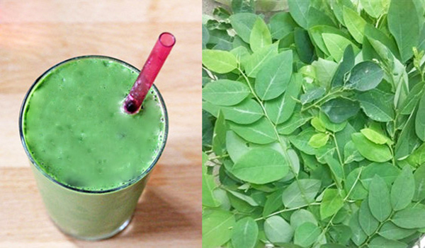 nước rau ngót lợi sữa